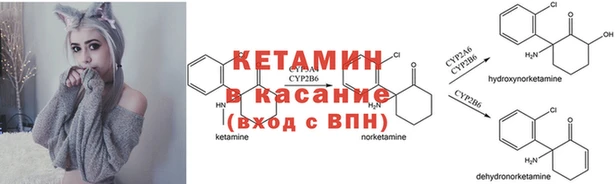 Альфа ПВП Каменка