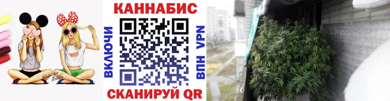 МАРИХУАНА план  Купить  Партизанск 
